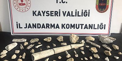 Kayseri’de Fildişi Fosili ve Fosil Kalıntıları Ele Geçirildi