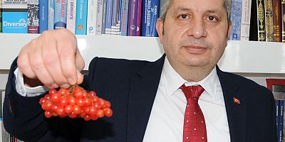 Kayseri'de İki İlçenin 'Gilaburu' Rekabeti