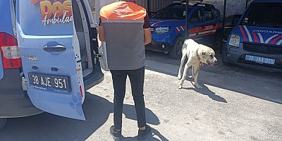 Kayseri’de Köpeği Bağlayarak Aracını Çektiren Şahsa Ceza