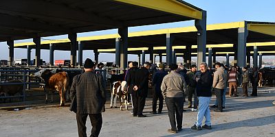 Kayseri’de Kurbanlık Tavsiye Fiyatları Açıklandı