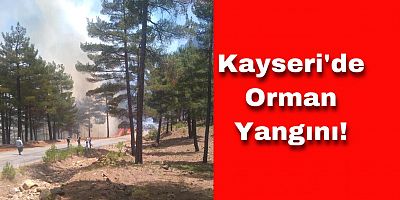 Kayseri'de Orman Yangını Çıktı