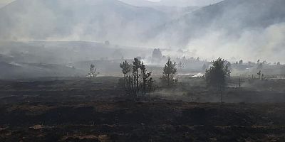 Kayseri'de Orman Yangını