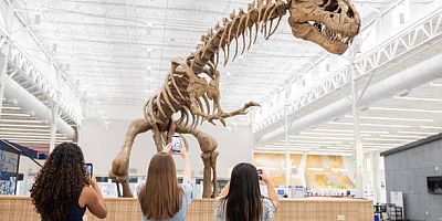 Kayseri’de Paleontoloji ve Fosil Müzesi Açılıyor
