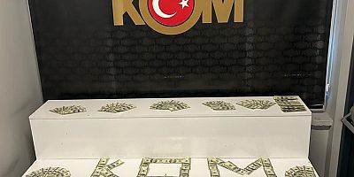 Kayseri'de Piyasaya Sürmek Üzere Sahte 14 Bin Dolar Getiren Şahıs Yakalandı