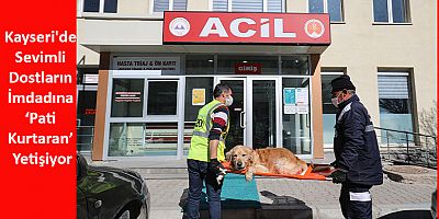 Kayseri'de Sevimli Dostların İmdadına ‘Pati Kurtaran’ Yetişiyor