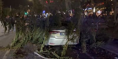 Kayseri’de Şiddetli Rüzgar Ağacı Otomobilin Üzerine Devirdi