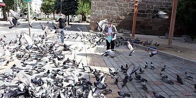 Kayseri'de Sokağa Çıkma Kısıtlamasında Güvercinleri Beslediler