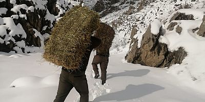 Kayseri’de Yaban Hayatına Destek