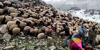 Kayseri'ye Gelen Yörüklere Vali Günaydın Sahip Çıktı