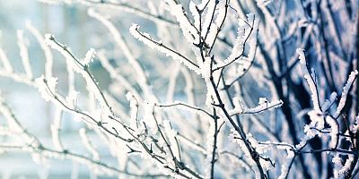 Kayseri’ye Zirai Don Uyarısı Geldi