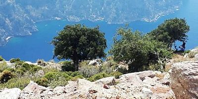 Kayserili Genç Kayalıklardan Düşerek Hayatını Kaybetti