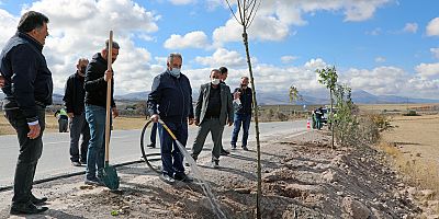 Kırsal Mahalle Girişlerinde Ağaç Seferberliği
