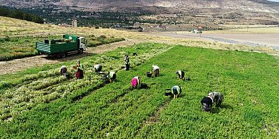 Kocasinan Belediyesi’nden Tarımsal Kalkınmaya Tam Destek