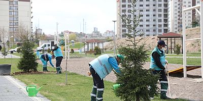 Kocasinan Belediyesi, Yeşil Hamle İle Geleceğe Nefes Oluyor