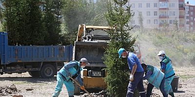 Kocasinan'da fidanlar toprakla buluşuyor