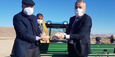 Kocasinan'da Gacer Buğdayının Tohumu Ekildi