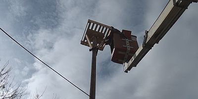 Kocasinan'da Leylekler İçin Güvenli Yuva