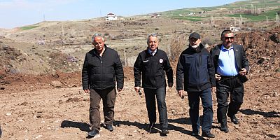 Kocasinan’da Yabani Alıç Ağaçlar