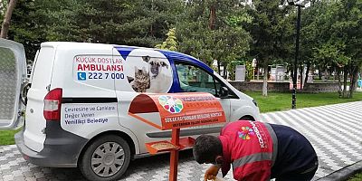 Kocasinan’da Yem Bulmakta Zorlanan Doğadaki Canlılar İçin Seferberlik
