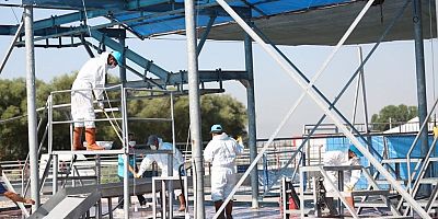 Kocasinan’dan Profesyonel Kurban Hizmeti