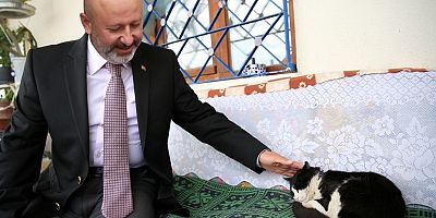 Kocasinan’dan Sıcak Bir Yuva; ‘Küçük Dostlar Kedi Kasabası’