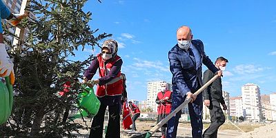 Kocasinan Hedefine Ulaştı, Her Yıl 100 Bin Ağaç Toprakla Buluşuyor