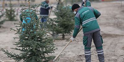 Kocasinan, Mesaiye Ağaç Dikerek Başladı