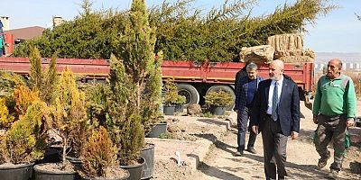 Kocasinan, Yeşil Alan ve Ağaç Dikmede Yeni Bir Rekora Hazırlanıyor