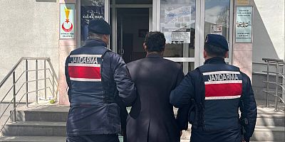 Köpeği Ağaca Asarak Öldüren Şahıs Gözaltına Alındı