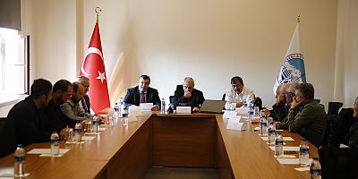 Kültürel Hizmet, Edebiyata Destek