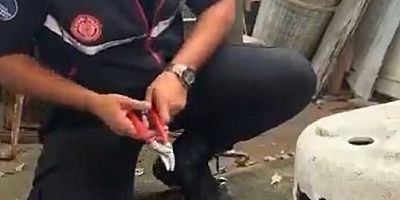 Küvete Sıkışan Kediyi İtfaiye Kurtardı