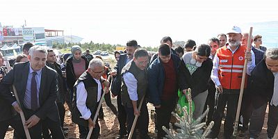 Mavi İle Yeşilin Buluştuğu Kuşçu’da