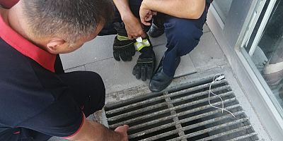 Mazgala Düşen Kedi Kurtarıldı