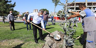 Melikgazi Belediyesi Ağaç Dikiyor