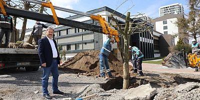 Melikgazi de Ağaçlandırma Çalışmaları Devam Ediyor