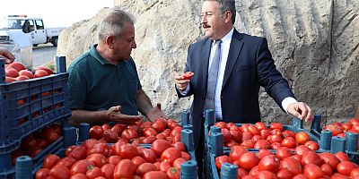 Melikgazi'de ‘Salça Günleri’ Başlıyor!