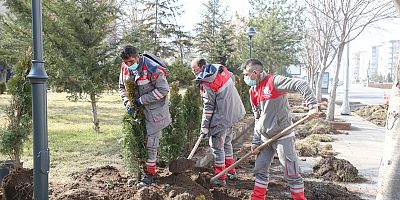 Melikgazi’nin Parklarına Ağaç ve Süs Bitkisi Dikimi Başladı
