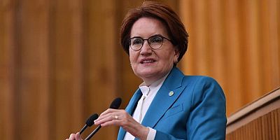 Meral Akşener’den Erdoğan’a: Bitlere Fısıldayan Adam