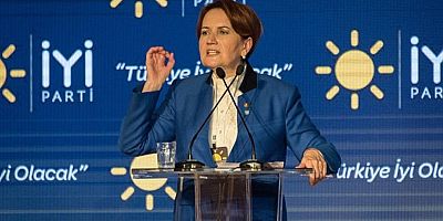 Meral Akşener: “Tarım Bakanı da TikTok'tan İstifa Etsin”