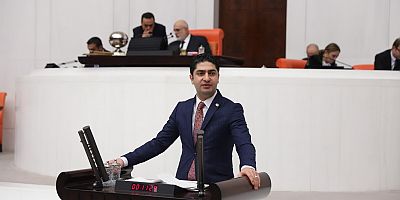 MHP’li Özdemir çevre kirliliğini Meclis gündemine taşıdı