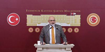 Milletvekili Cıngı: Başıboş Köpek Konusu Doğrudan Bir Kamu Güvenliği Meselesidir