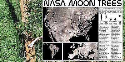 NASA Yayımladı: Ay’dan Gelen Tohumlar Nereye Dikildi?