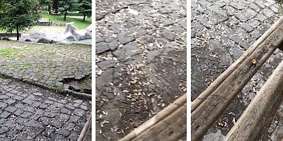 Normalleşme başladı, parklar yine pislik içerisinde bırakıldı