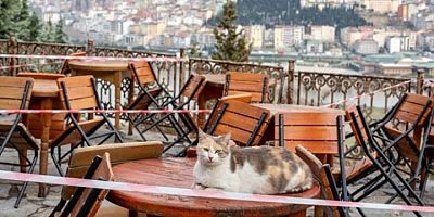Pandemi Nedeniyle Kapatılan İş Yerleri İçin Vergi Kararı