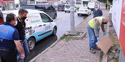 Parkta, Gözleri Oyulmuş Ölü Köpek Bulundu