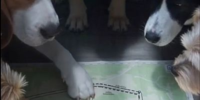 Pati Evi’nden Kaçtılar, Pişman Olup Geri Döndüler