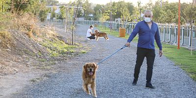 ‘Pati Yolu’na Hayvanseverlerden Tam Not