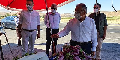 “Patlıcan Denildi Mi Akıllara Yamula Gelir”