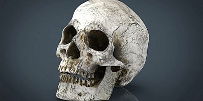 Polis O Kadının Cesedini 1.5 Yıl Önce Bulmuştu