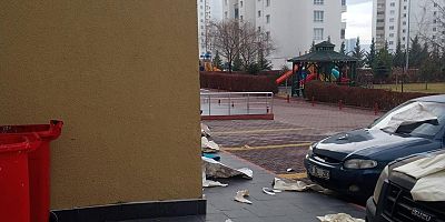 Psikolojik Rahatsızlığı Bulunan Kadın Çevreye Zarar Verdi
